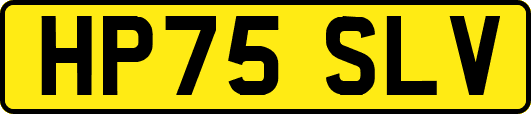 HP75SLV