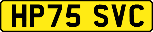 HP75SVC