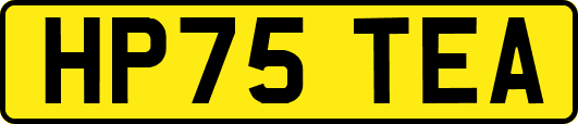 HP75TEA