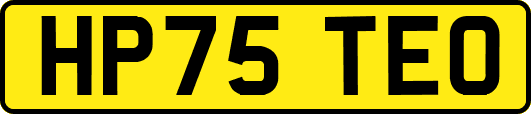 HP75TEO