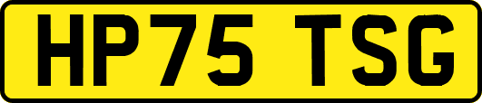 HP75TSG
