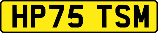 HP75TSM