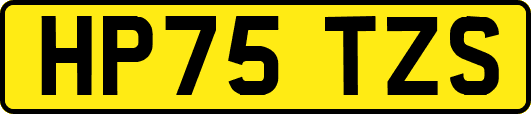 HP75TZS