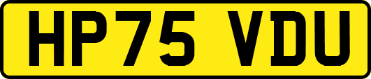 HP75VDU