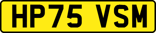 HP75VSM