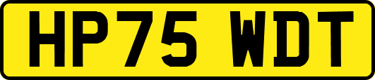 HP75WDT