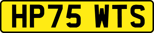 HP75WTS