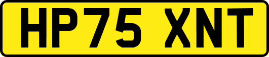 HP75XNT