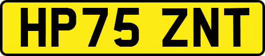 HP75ZNT