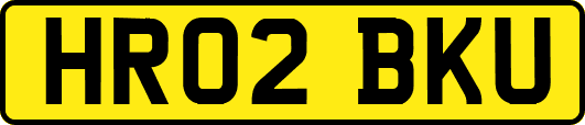 HR02BKU
