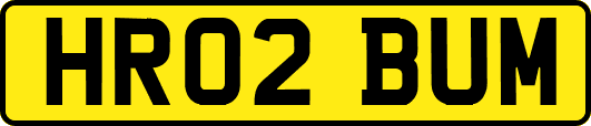 HR02BUM
