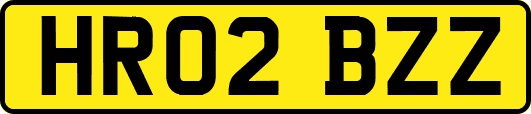 HR02BZZ
