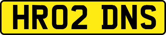 HR02DNS