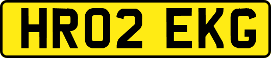 HR02EKG