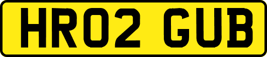 HR02GUB
