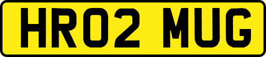 HR02MUG