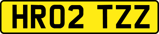 HR02TZZ