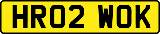 HR02WOK