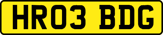 HR03BDG