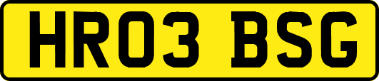 HR03BSG