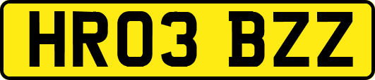 HR03BZZ