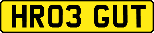HR03GUT