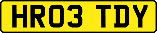 HR03TDY