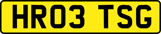 HR03TSG