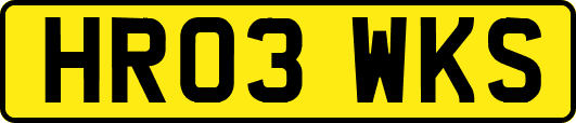 HR03WKS