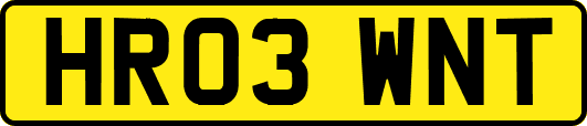 HR03WNT