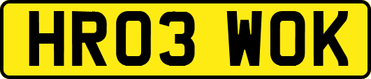 HR03WOK