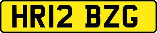 HR12BZG