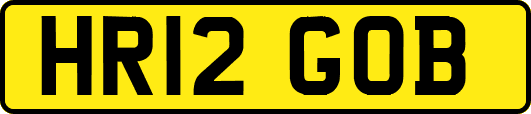HR12GOB