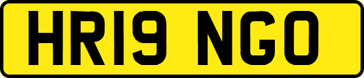 HR19NGO