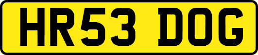 HR53DOG