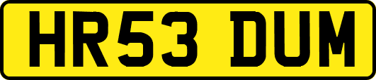 HR53DUM