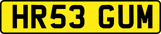 HR53GUM