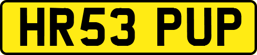 HR53PUP
