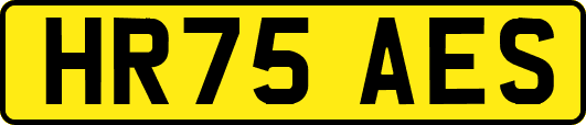 HR75AES