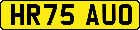 HR75AUO