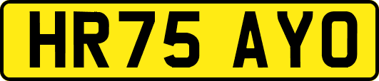 HR75AYO