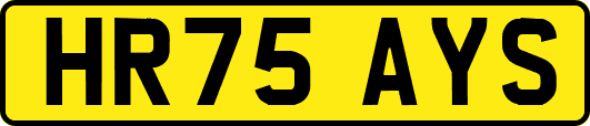 HR75AYS