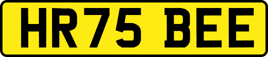 HR75BEE