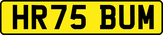 HR75BUM
