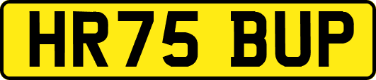 HR75BUP
