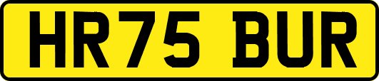 HR75BUR