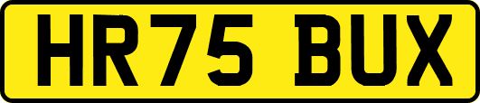 HR75BUX
