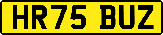 HR75BUZ