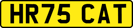 HR75CAT