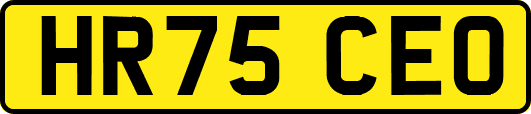 HR75CEO